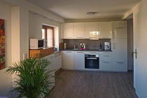 een keuken met witte apparatuur en een potplant bij FeWo „Zum Napoleonstein“ in Dresden