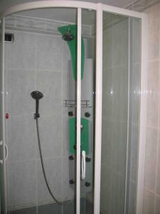 een douche met een groen voorwerp in een badkamer bij Piccolo appartamento a San Marco in Venetië