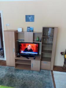 Una televisión o centro de entretenimiento en Apartman Čugurović