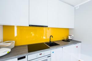 Kuchyňa alebo kuchynka v ubytovaní Apartamenty Koci Ogon