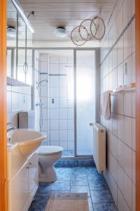 a bathroom with a toilet and a sink and a shower at Ferienhaus Seegras in Trassenheide