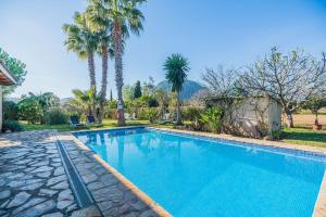 una gran piscina con palmeras en un patio en SANTUIRI, en Pollensa