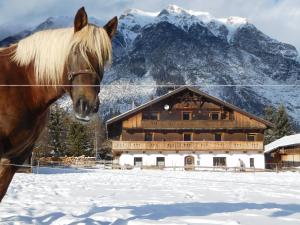 a horse standing in the snow in front of a building at Thoamlhof in Leutasch