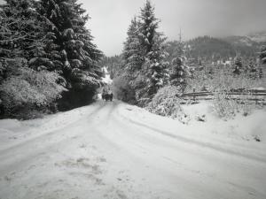 a snow covered road with a group of people walking down it at Maramures Landscape in Moisei