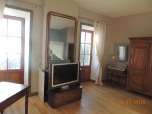 a living room with a tv and a mirror at Château de Montréal in Montréal