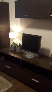 una TV a schermo piatto seduta sopra un comò di Apartamentai Dainų II a Šiauliai