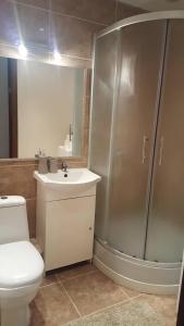 ein Bad mit einer Dusche, einem WC und einem Waschbecken in der Unterkunft Apartamentai Dainų II in Šiauliai