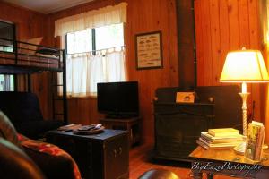 The Meadow Cabin في Folsom: غرفة معيشة بها أريكة وتلفزيون وطاولة