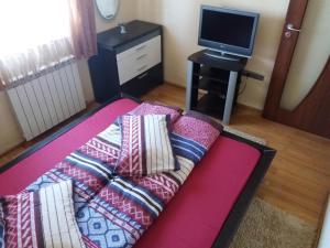 TV a/nebo společenská místnost v ubytování Apartament Alin
