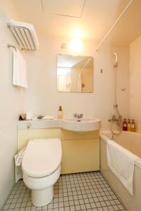 un bagno con un water, un lavandino e uno specchio di Hotel Grand Vert Gizan a Gifu