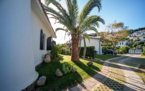 A garden outside Villa Mediterranea