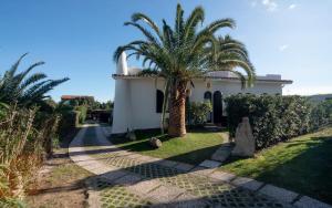 A garden outside Villa Mediterranea