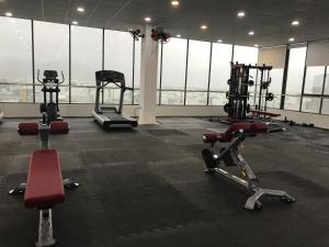 Fitness centrum a/nebo fitness zařízení v ubytování LiLy Apartment