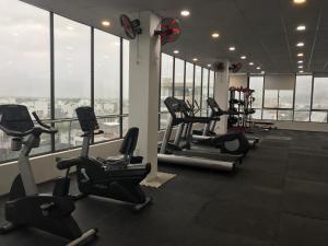 Fitness centrum a/nebo fitness zařízení v ubytování LiLy Apartment