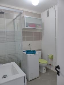 uma casa de banho com um WC, um lavatório e um chuveiro em Appartement 2 personnes vue sur le port #0278 em Soorts-Hossegor