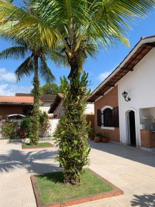 a palm tree in front of a house at Bertioga Paradise in Bertioga