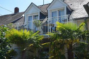 a house with a balcony and palm trees at Gästehaus Alt Mehring in Mehring +9 photos