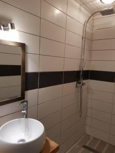 a bathroom with a sink and a shower at Au Bois Flotté in Hourtin