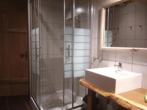 un bagno con lavandino e doccia di Bauernhof Hintenberg a Itter