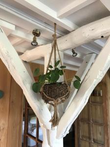 un nid d'oiseaux suspendu au plafond dans l'établissement Barsy 34, à Havelange