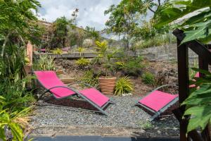 Κήπος έξω από το La Conque du Trou d'eau