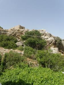 a rocky hill with trees and bushes on it at Megim Hotel in Palaiochora