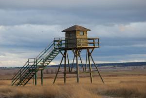 una casa en un árbol con una escalera en un campo en Casa Tolosa, en Las Cuerlas