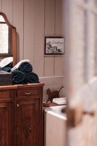 Sainte-CécileにあるLes Chambres du Chatのバスルーム(シンク付)、カウンターに猫が座っています。