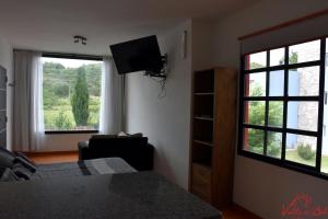 1 dormitorio con 1 cama, TV y 2 ventanas en Posada Valle del Sol en Potrero de los Funes