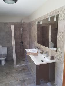 een badkamer met een wastafel, een douche en een toilet bij Chambres d'Hôtes La Toast Vin in Saint-Sever