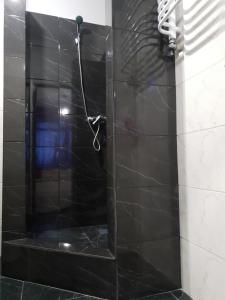 a bathroom with a shower with black tile at Travel station apartment in Ivano-Frankivsʼk