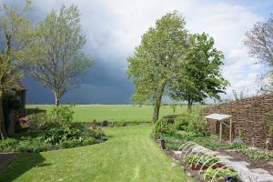 einen Garten mit einem Feld im Hintergrund in der Unterkunft B&B Waterland in Middelie