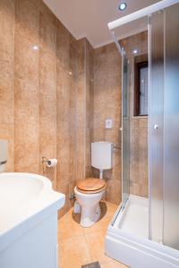 a bathroom with a toilet and a sink and a shower at Villa Voinic 3 in Cavtat +36 photos