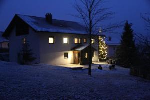 a house with a christmas tree in front of it at Apartment am Nationalpark Bayerwald in Lindberg
