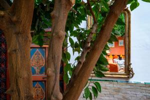Zahrada ubytování Riad Ayadina & SPA