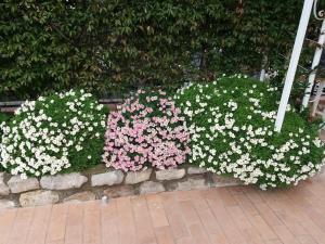 Fotografie z fotogalerie ubytování Garden on the Sea v destinaci Vico Equense