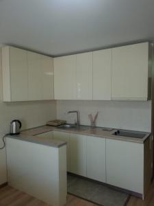 Kuchyň nebo kuchyňský kout v ubytování Apartment 607 in ORBI PALACE