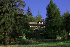 a house in the middle of a forest with trees at Il Giardino Dell'Artemisia in Pila