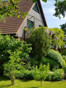 a house with trees and bushes in front of it at Ferienwohnung Wremer Straße in Wremen