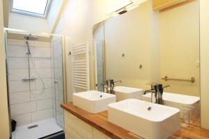 un bagno con due lavandini e una doccia di Le Grenier du 11 a Gérardmer