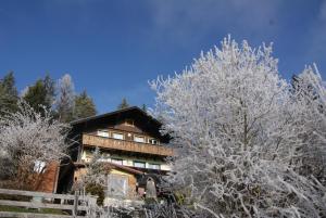 ein Haus mit schneebedeckten Bäumen davor in der Unterkunft Sattelberg in Ramsau am Dachstein