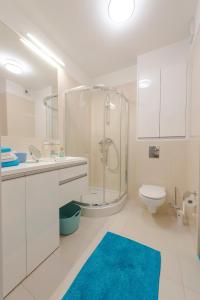a bathroom with a shower and a sink and a toilet at Apartament DeLux Marina in Kąty Rybackie