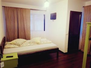 LupeniにあるCabana Alenaの窓付きのベッドがある小さな寝室