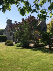 ein altes Steinhaus mit einem Baum im Hof in der Unterkunft Great House Guest House in Llantwit Major