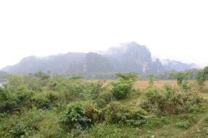 a field with trees and mountains in the background at Saksiri Riverside Boutique Hotel in Vang Vieng