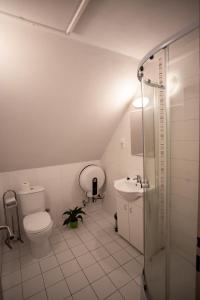 Koupelna v ubytování Penzion Star Doksy
