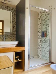 baño con ducha y puerta de cristal en Mini Appartamento Centro Storico, en Pescocostanzo