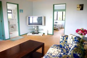 汉密尔顿Hamilton East Homestay的带沙发和电视的客厅