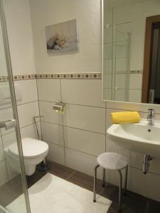 a bathroom with a toilet and a sink at Haus Romantika in Schattwald