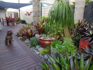 a small dog sitting on a deck in a garden at Papamoa Retreat in Tauranga